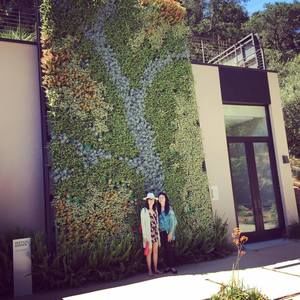 Meet your Posher, Iris